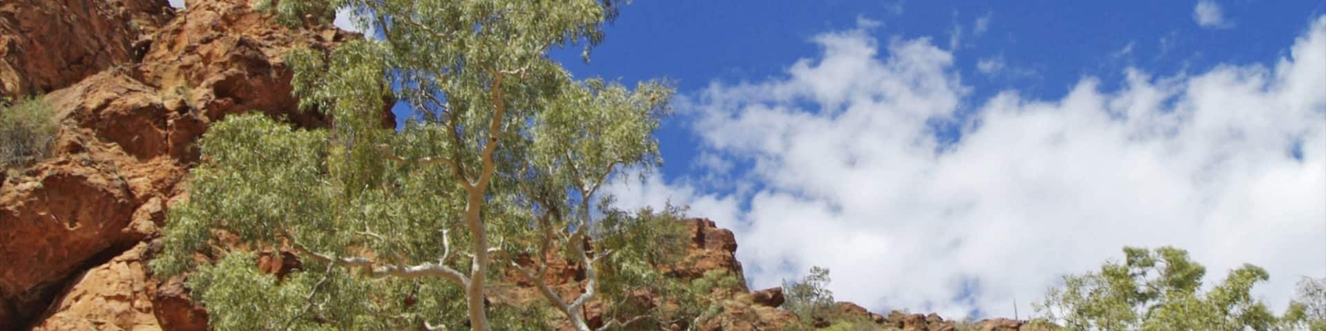 A rocky landscape with sparse vegetation and a clear blue sky with scattered clouds.