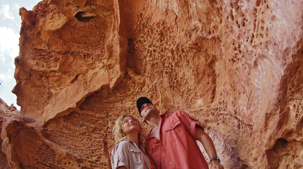 N\'Dhala Gorge Nature Park featuring a gorge or canyon as well as a couple