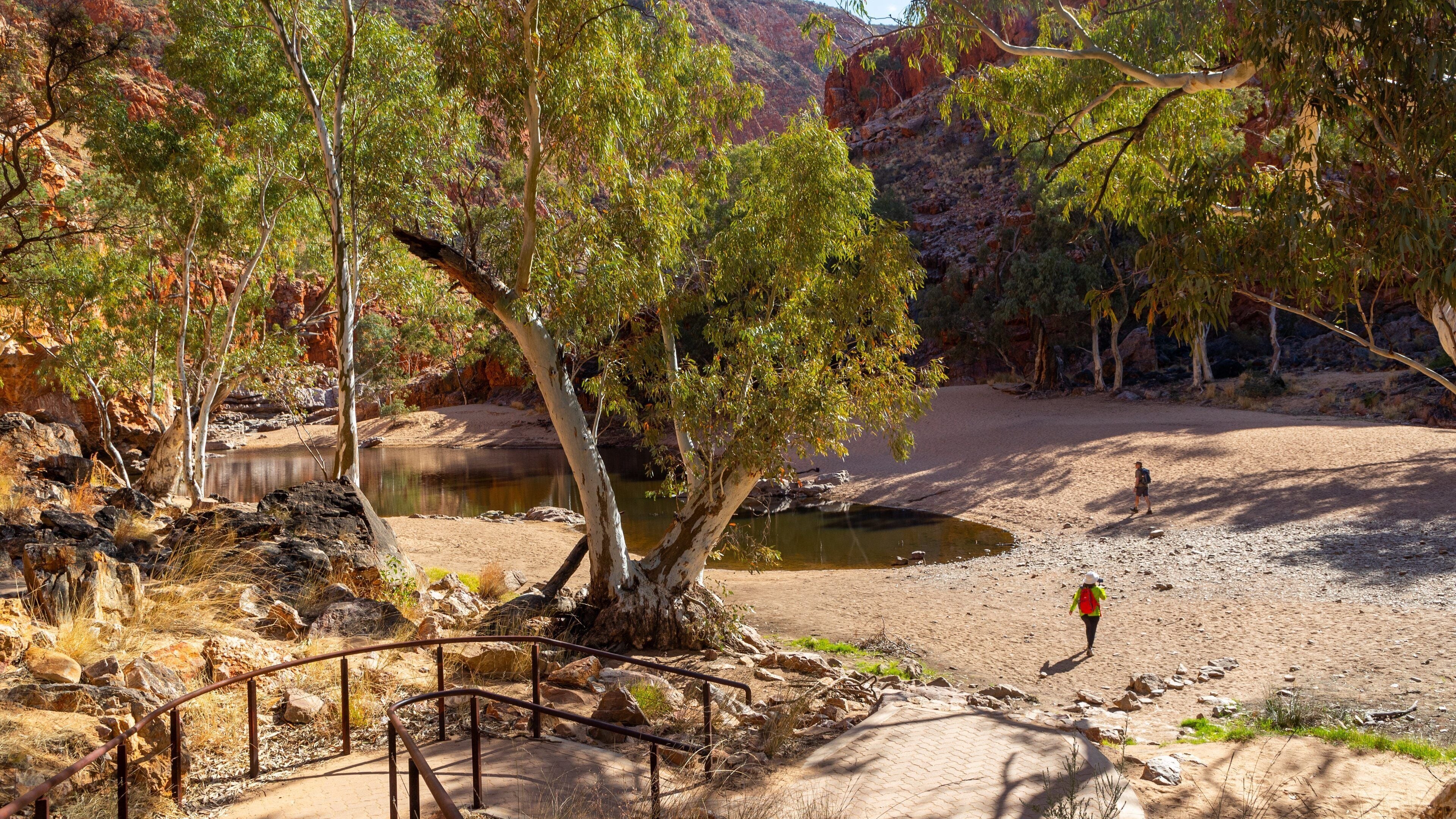 Ormiston Gorge which includes a pond, hiking or walking and desert views