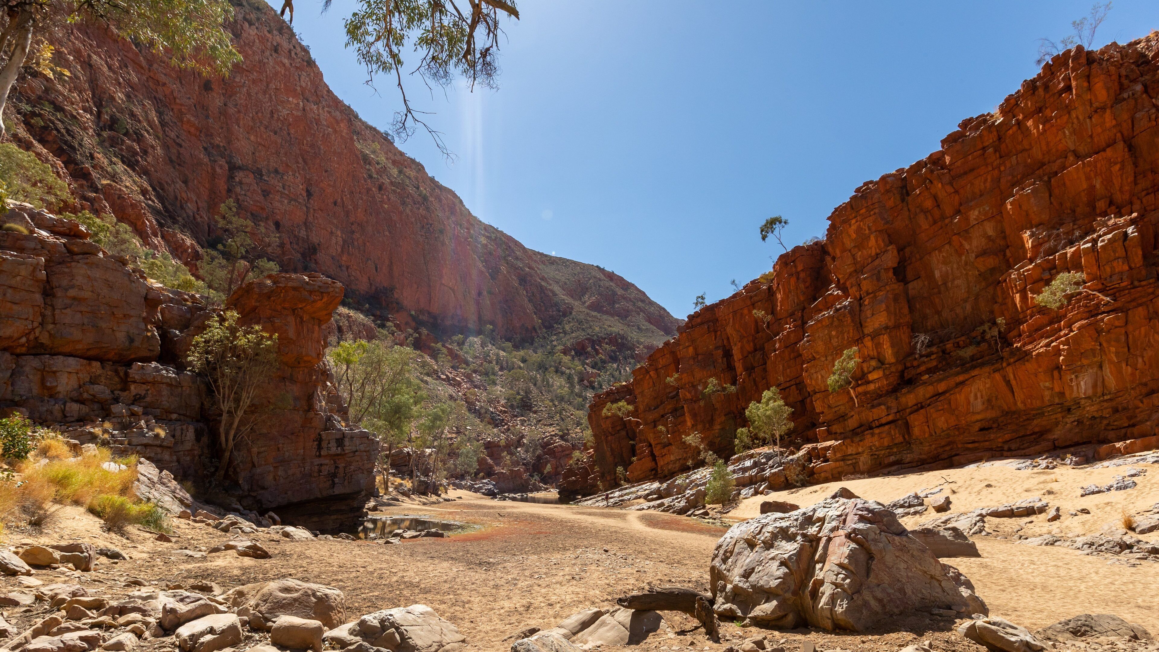A rugged canyon with red rock formations, sparse vegetation, and a dirt path.
