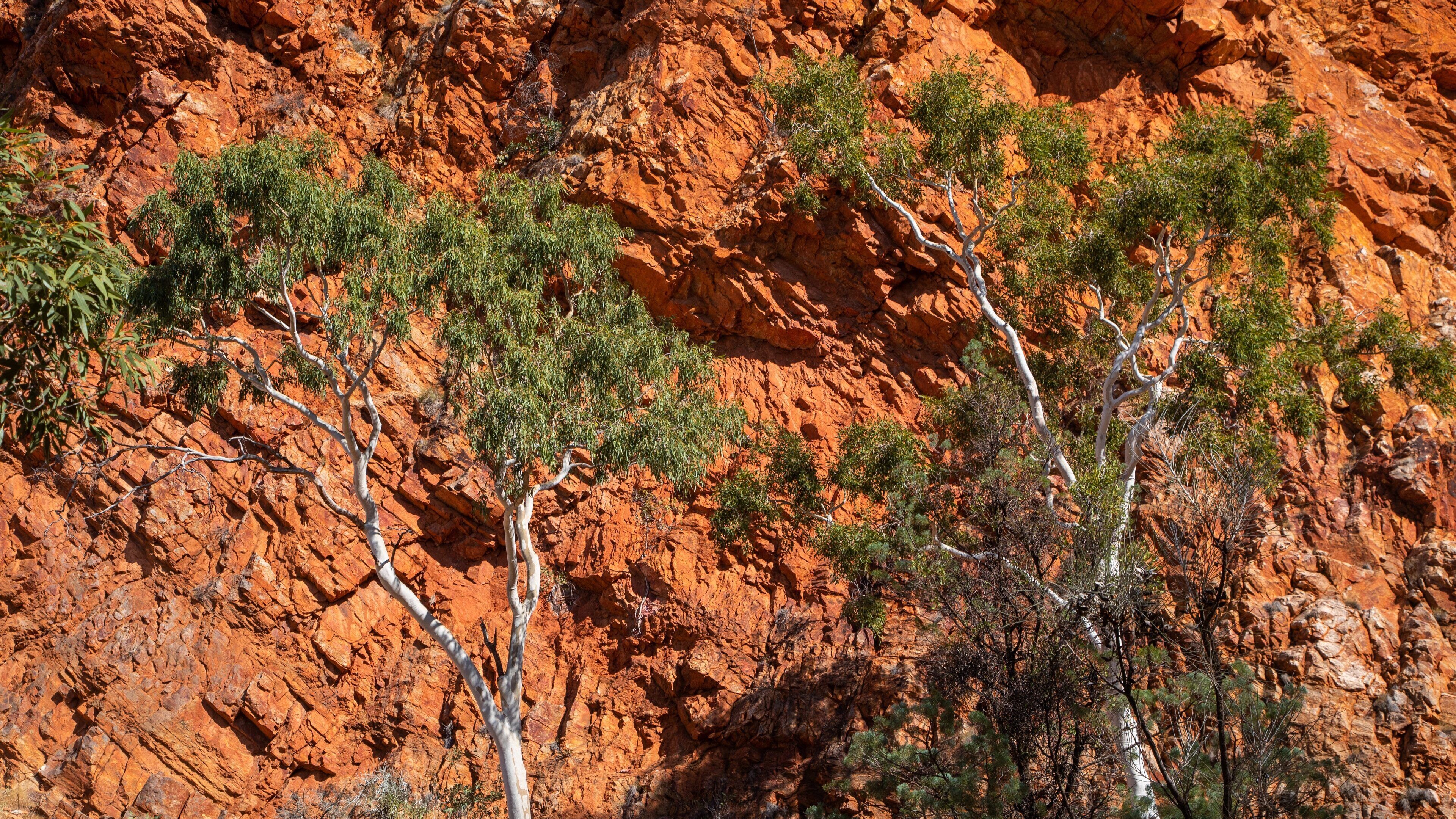 Ormiston Gorge showing a gorge or canyon