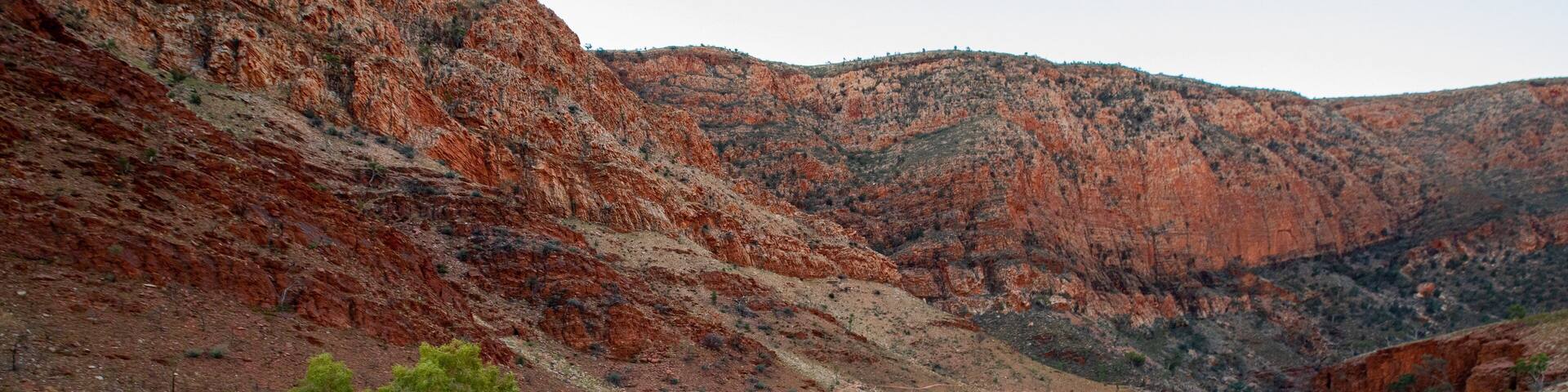 Ormiston Gorge showing desert views and a gorge or canyon