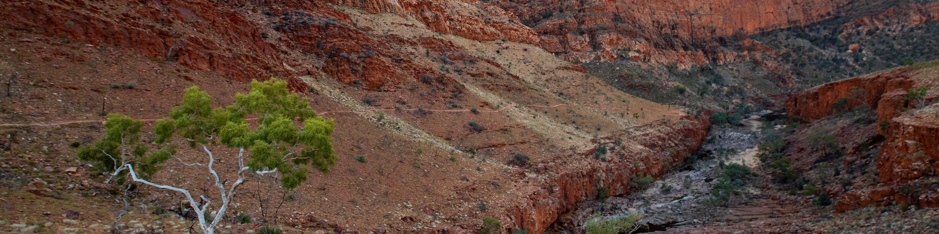Ormiston Gorge showing desert views and a gorge or canyon