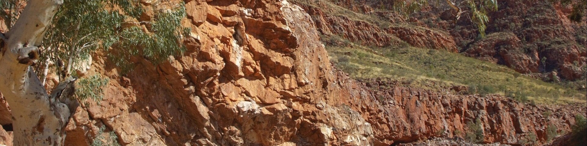 Alice Springs showing a gorge or canyon, a lake or waterhole and hiking or walking