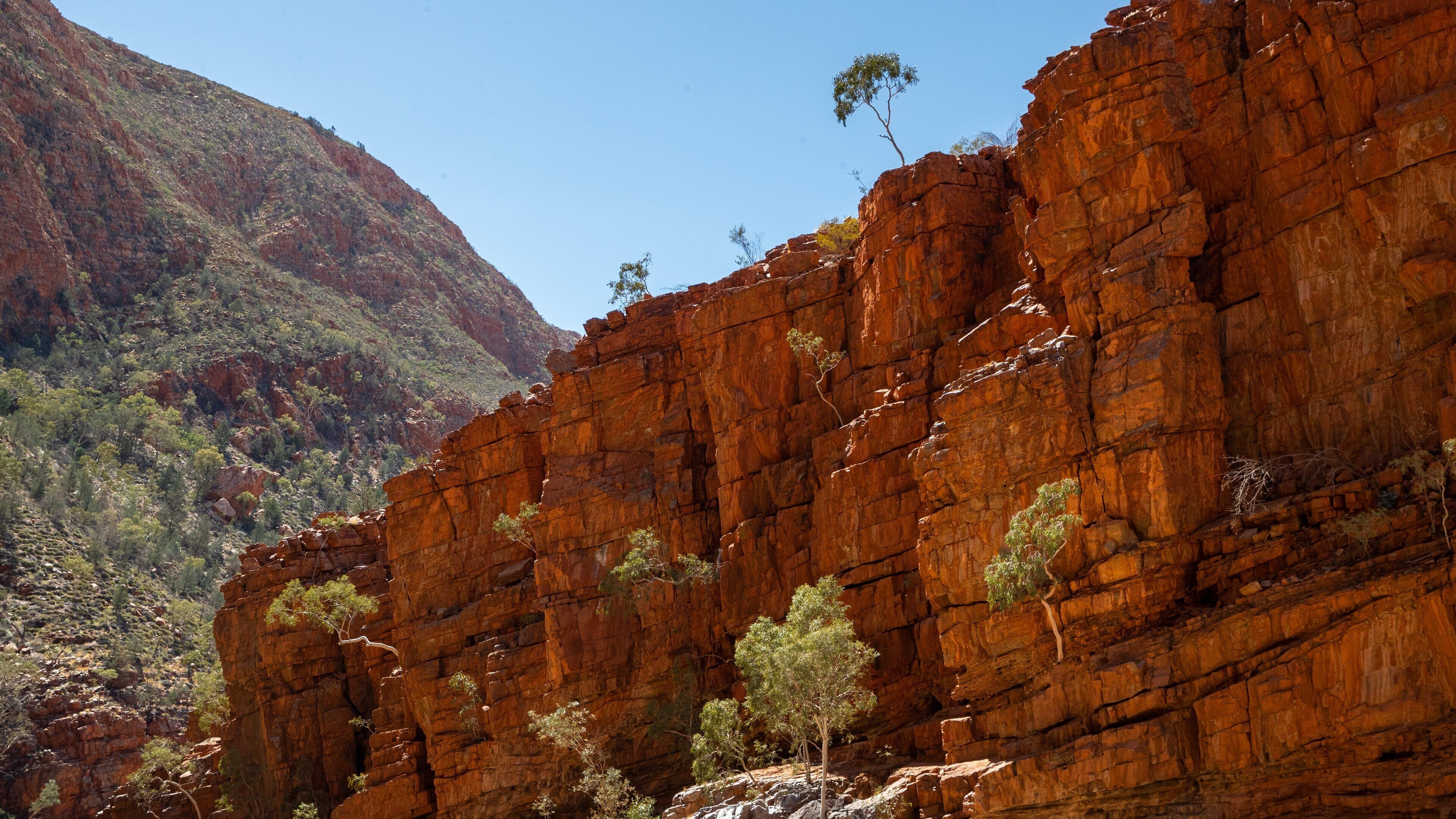 A rugged red rock formation with sparse vegetation.
