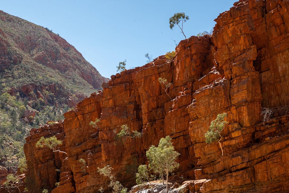 A rugged red rock formation with sparse vegetation.