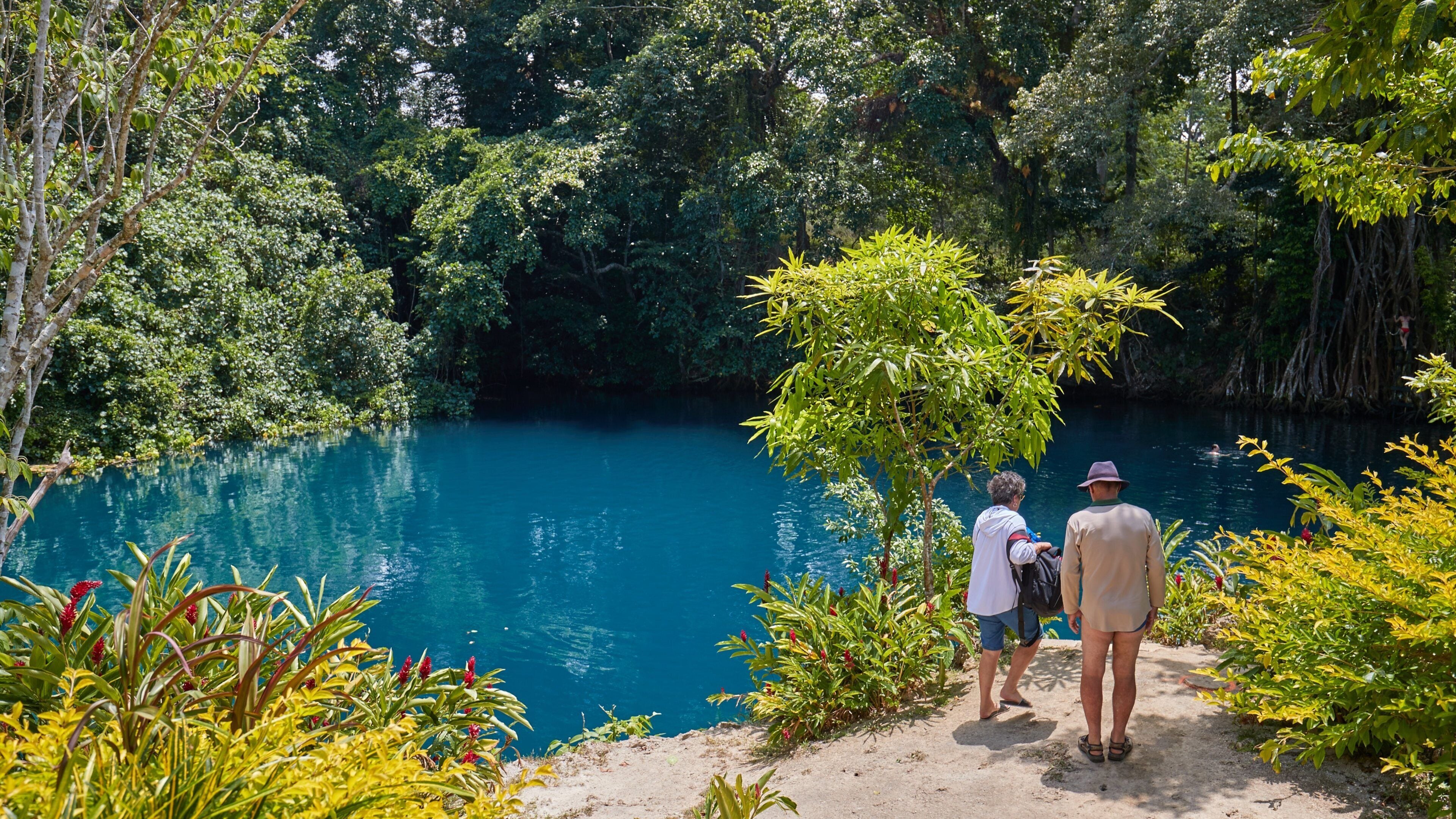A river surrounded by dense greenery and trees.