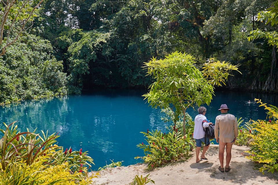 A river surrounded by dense greenery and trees.