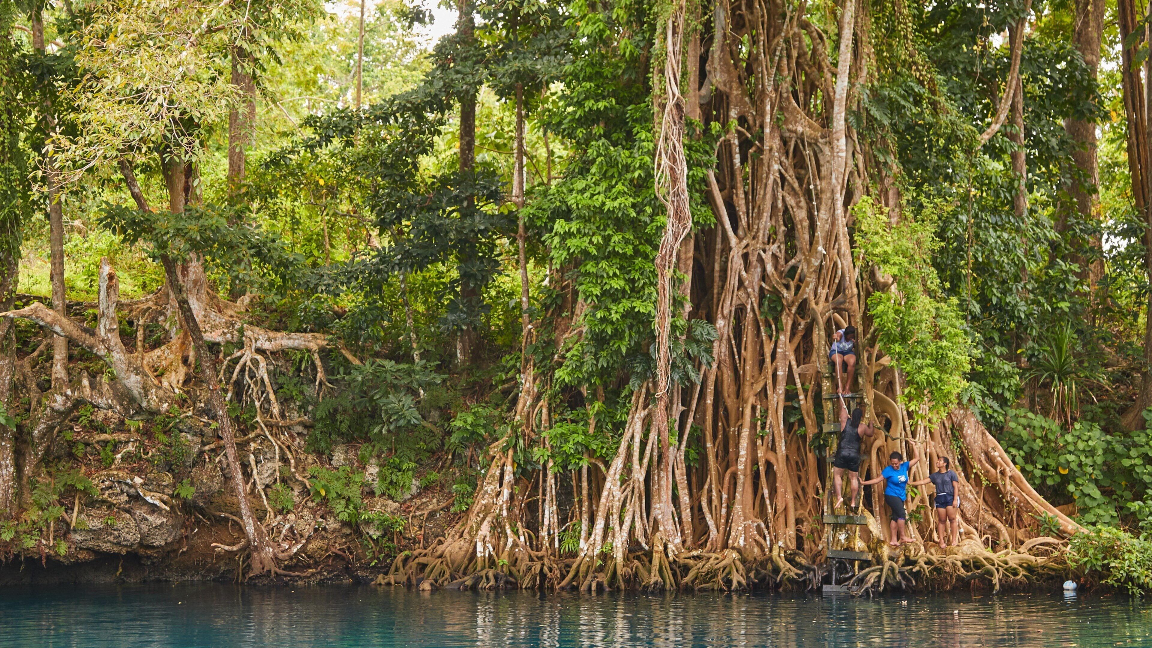 Luganville showing wetlands as well as a small group of people