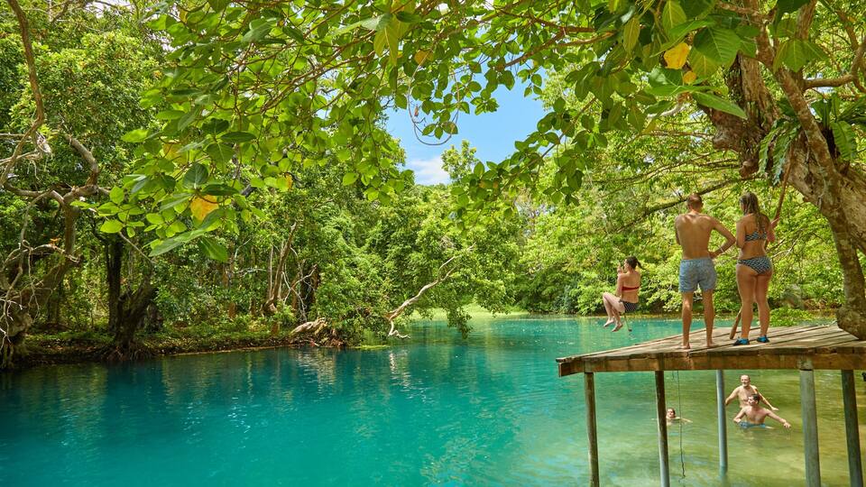A natural pool surrounded by lush greenery and trees.