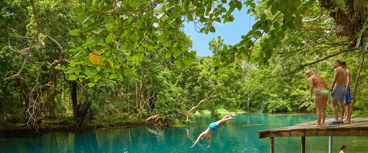A clear turquoise pool surrounded by lush greenery and trees.