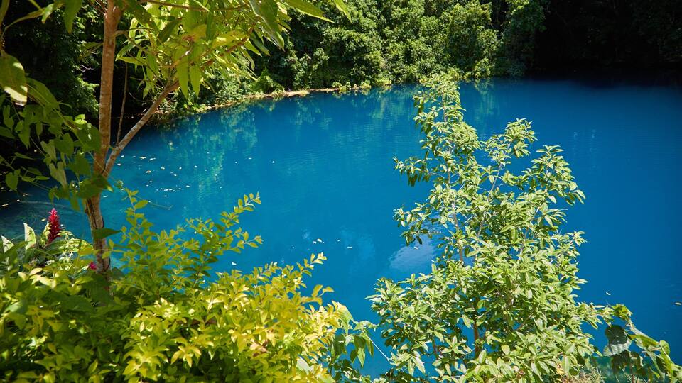 A clear blue lake surrounded by lush greenery.