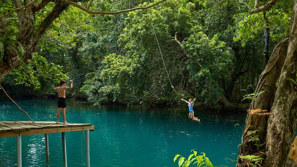 A person swinging on a rope over a river surrounded by dense forest.