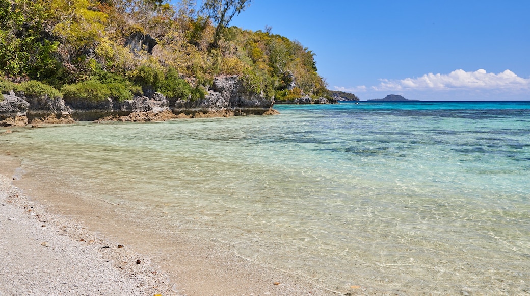 Vanuatu featuring yleiset rantanäkymät ja hiekkaranta