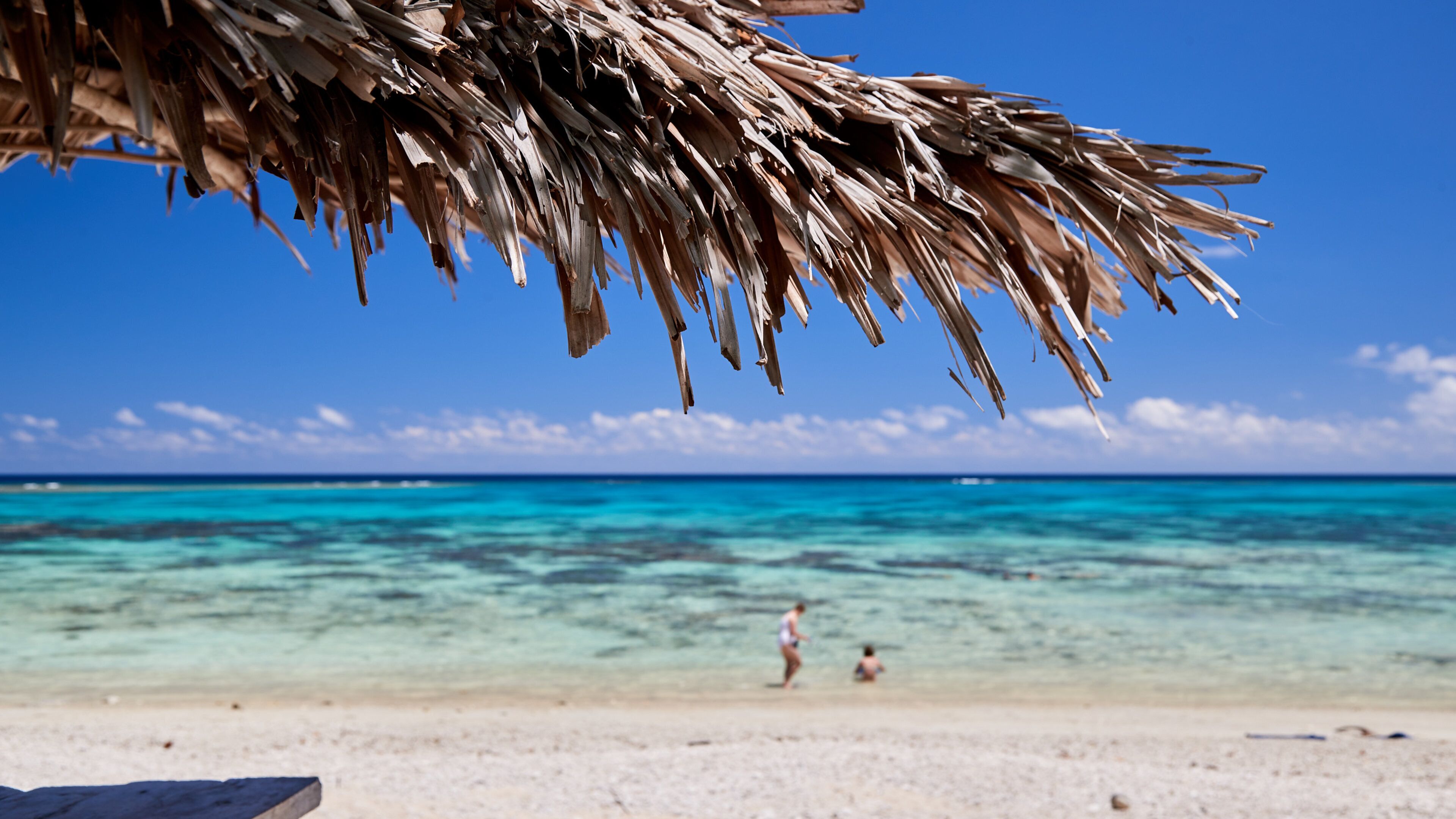 Vanuatu showing tropical scenes, general coastal views and a sandy beach