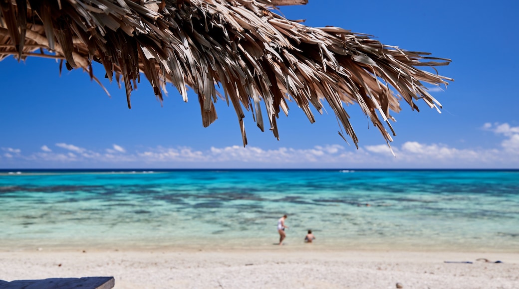 Vanuatu showing general coastal views, tropical scenes and a beach