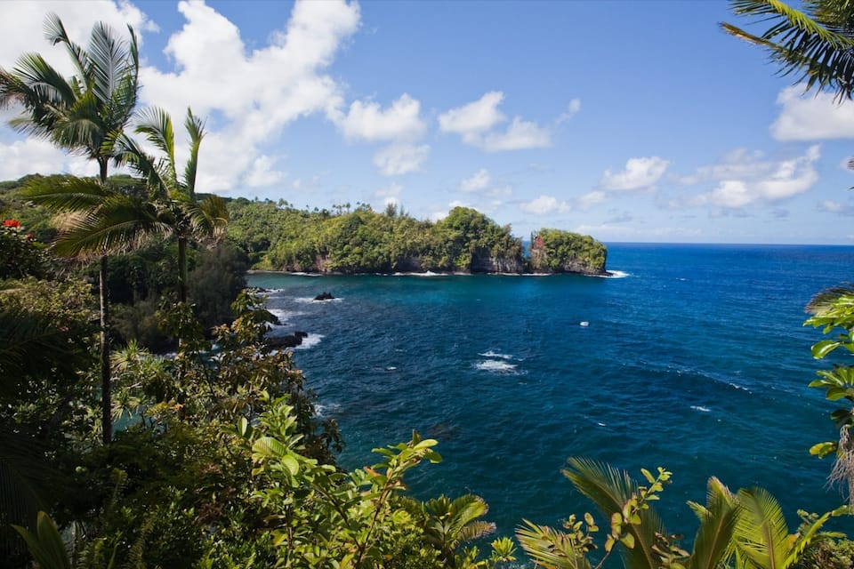 A tropical coastal landscape with lush greenery, a clear blue sea, and a small island with dense vegetation.