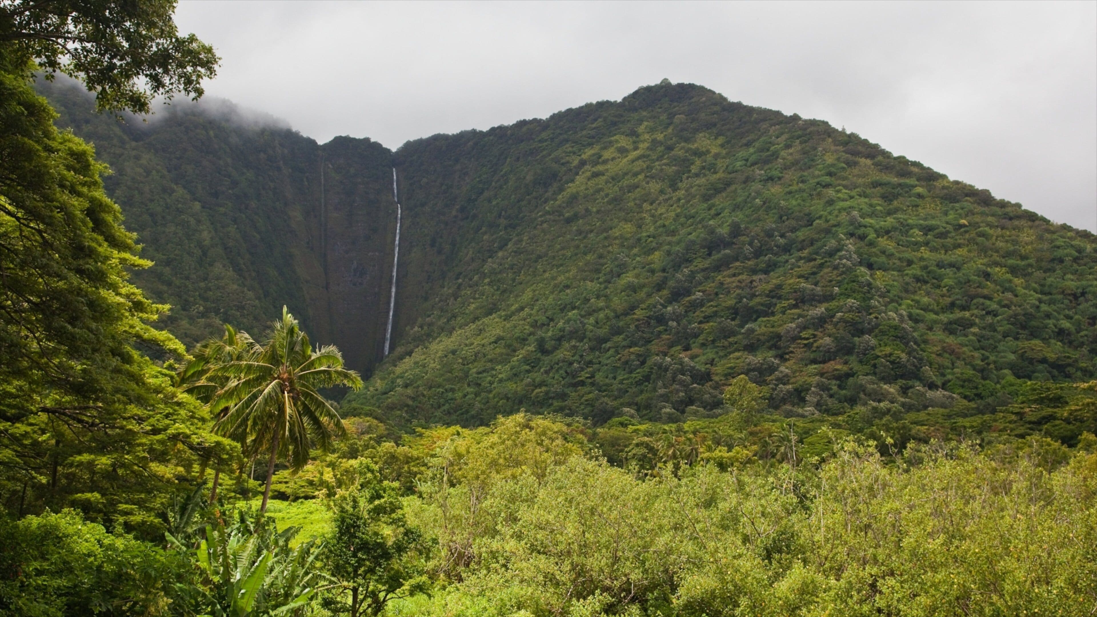 Une montagne verdoyante, couverte d’une végétation luxuriante, avec une cascade et une végétation dense.