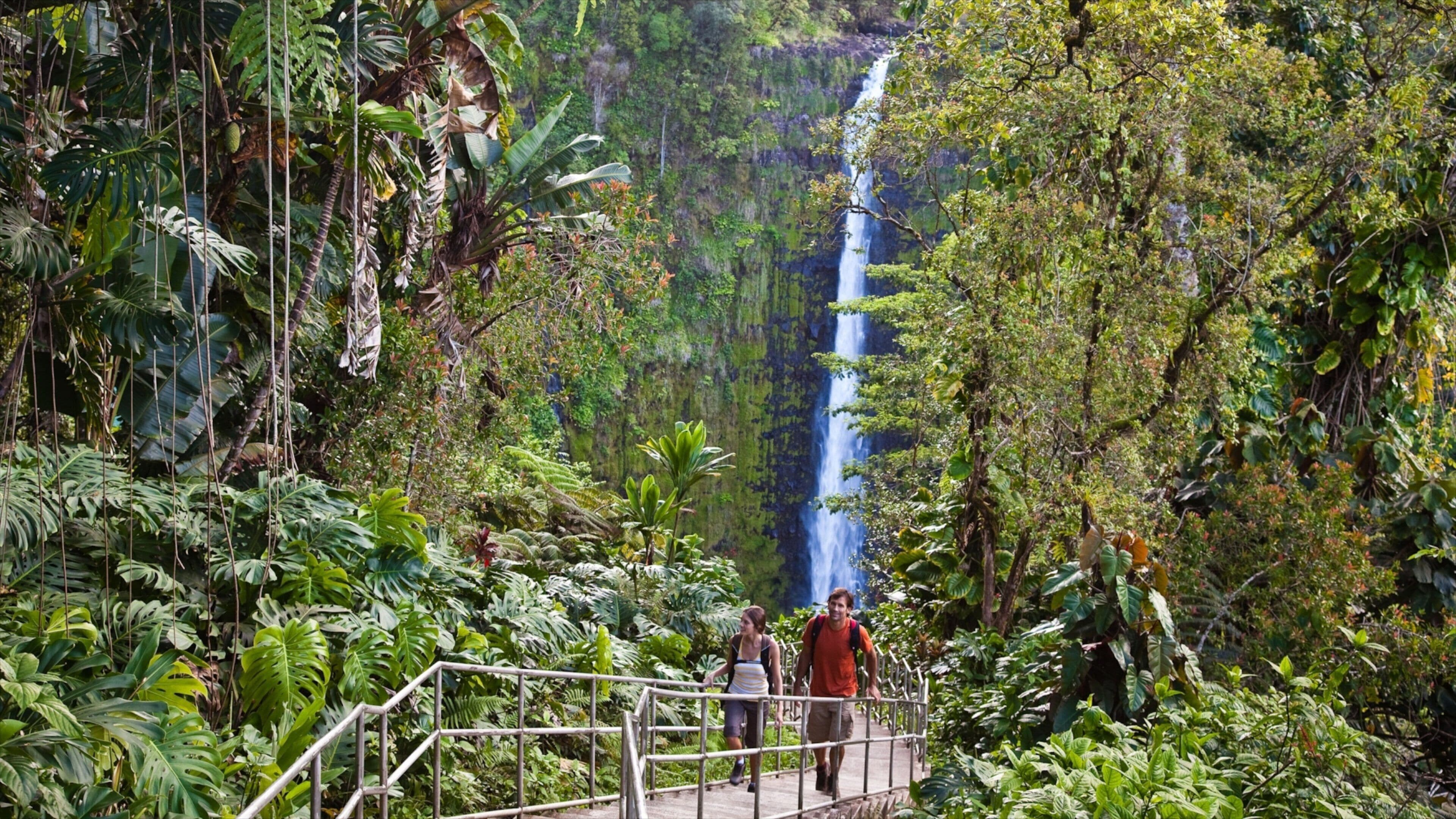 阿卡卡瀑布 其中包括 遠足或健行, 瀑布 和 雨林