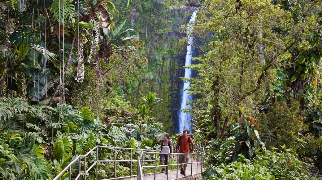 阿卡卡瀑布 其中包括 遠足或健行, 瀑布 和 雨林