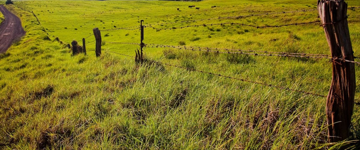 Hamakua Heritage Corridor featuring landscape views and tranquil scenes