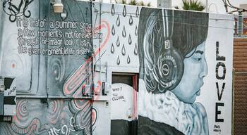 Roosevelt Row showing outdoor art