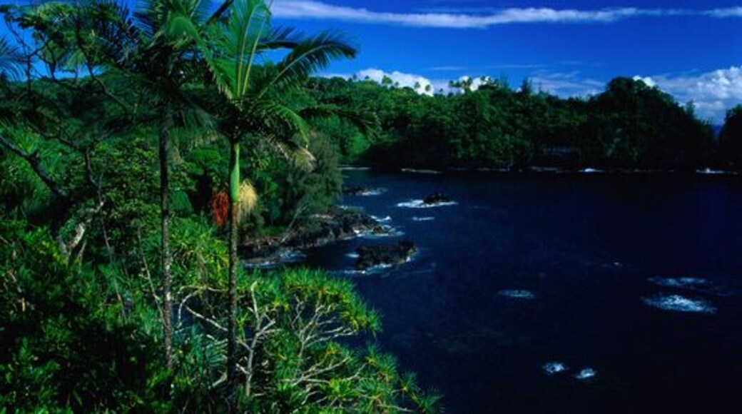 ํ๋ง์ฟ ์ ์ฐ์