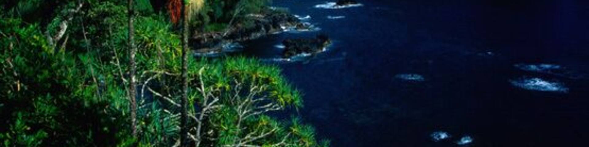 Hamakua Coast, North of Hilo, Hawaii