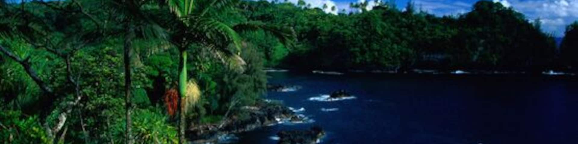Hamakua Coast, North of Hilo, Hawaii