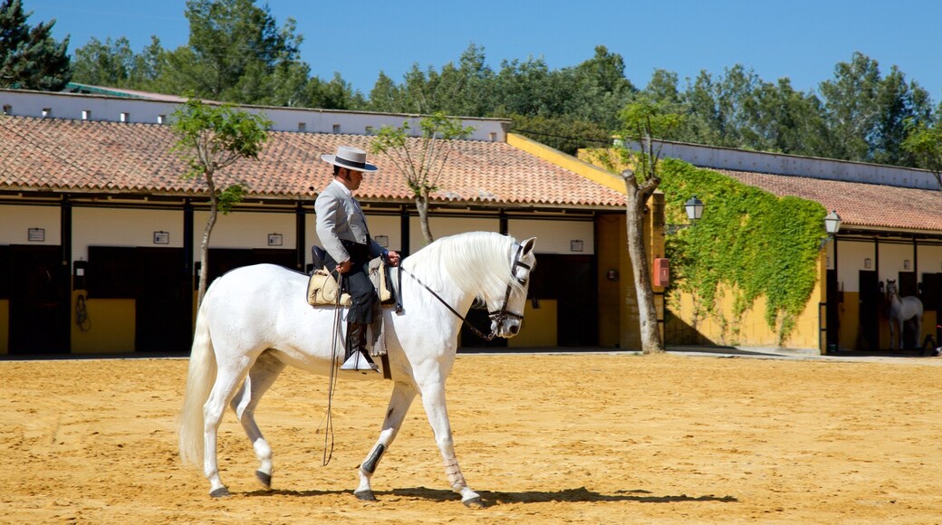 Jerez de la Frontera som inkluderer landdyr i tillegg til en mann