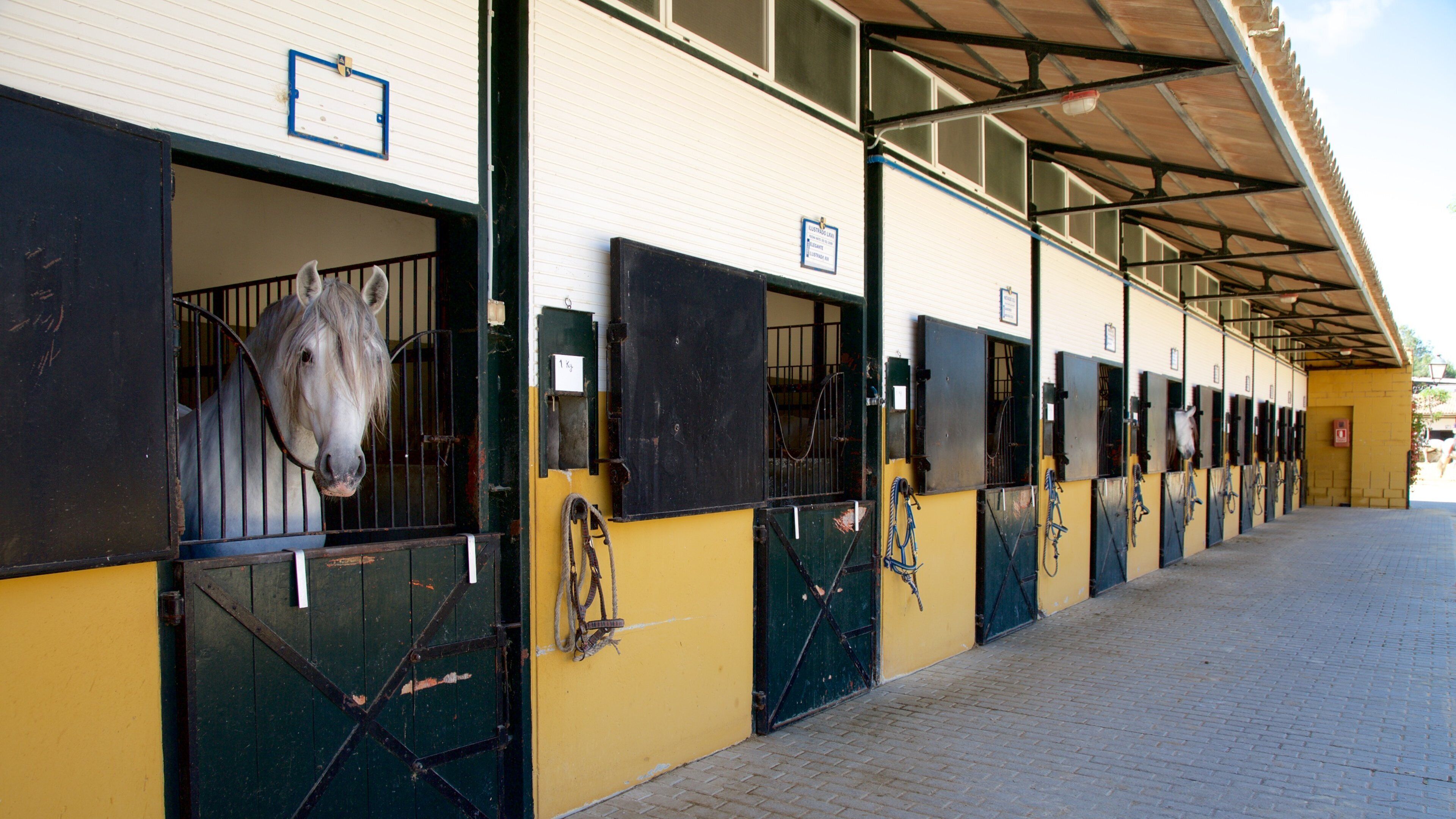 Estable amb diverses boxes per cavalls, cadascuna amb una porta negra i una reixa metàl·lica.