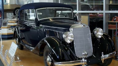 Tuscaloosa inclusief interieur