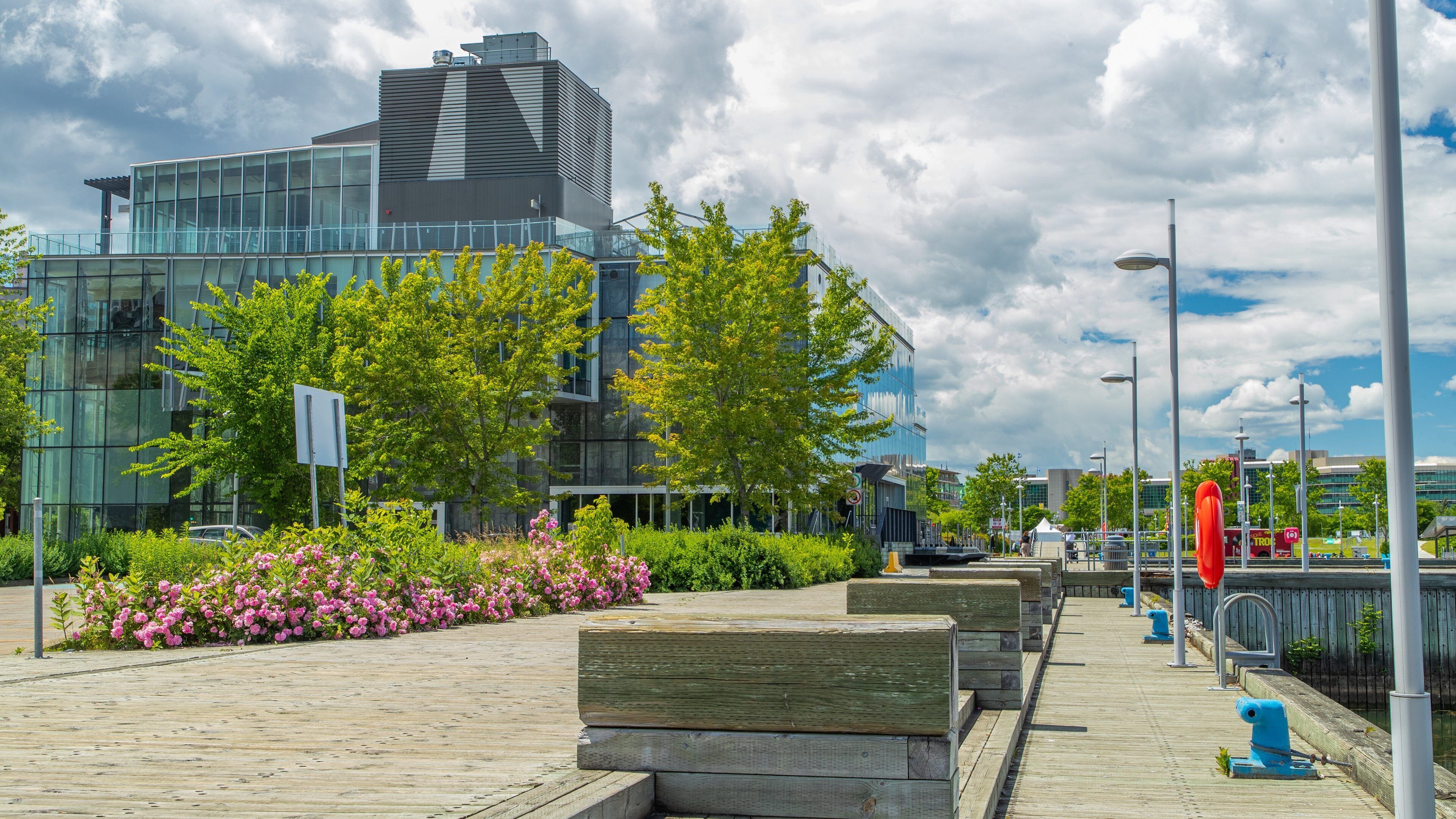 Old Port Quebec City which includes wildflowers and a park