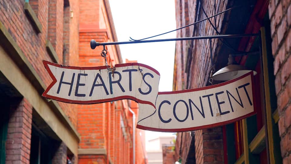 Lower Johnson Street showing signage