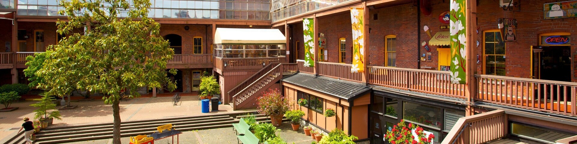 Victoria que inclui cenas de rua, uma casa e uma cidade