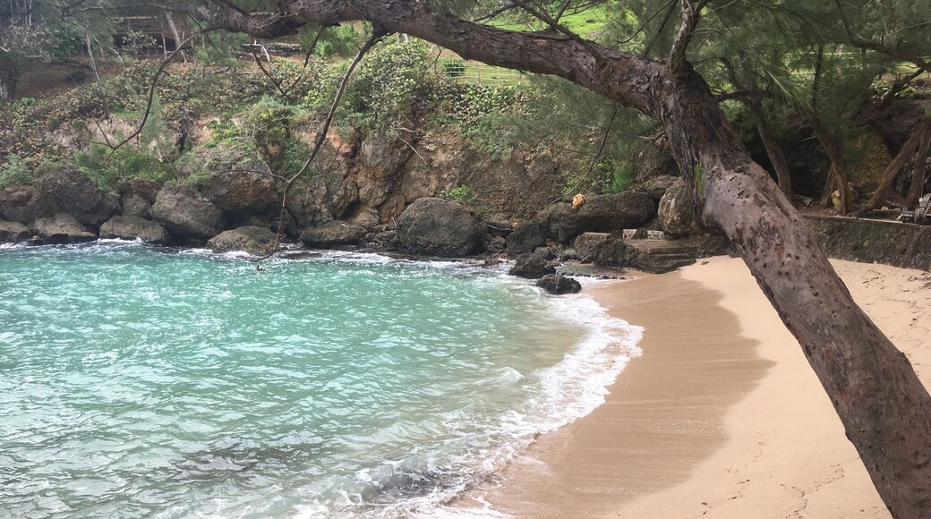 Small but secluded beach off the beaten path in St. Mary, Jamaica.