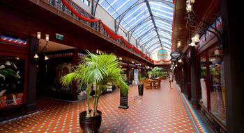 Christchurch featuring interior views and shopping
