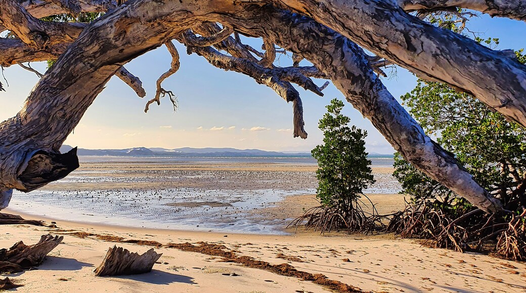 Elim Beach in Cape York, Located approximately 25 km outside Hopevale