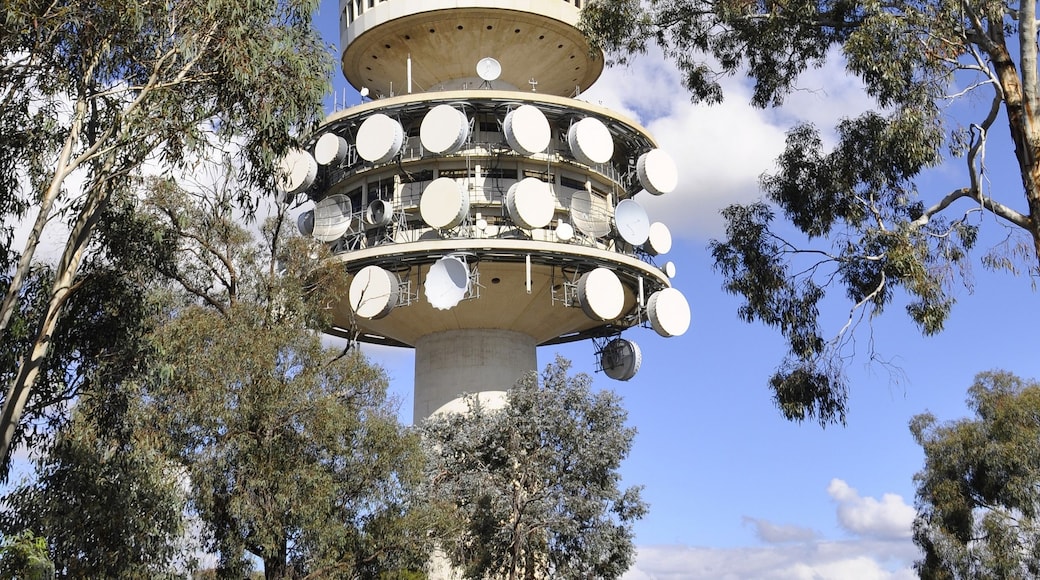 A tall tower with multiple circular platforms and antennas, surrounded by trees.