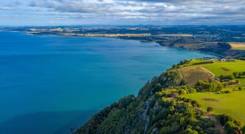 Aerial view of coastline of Tasmania near Wynyard, Australia