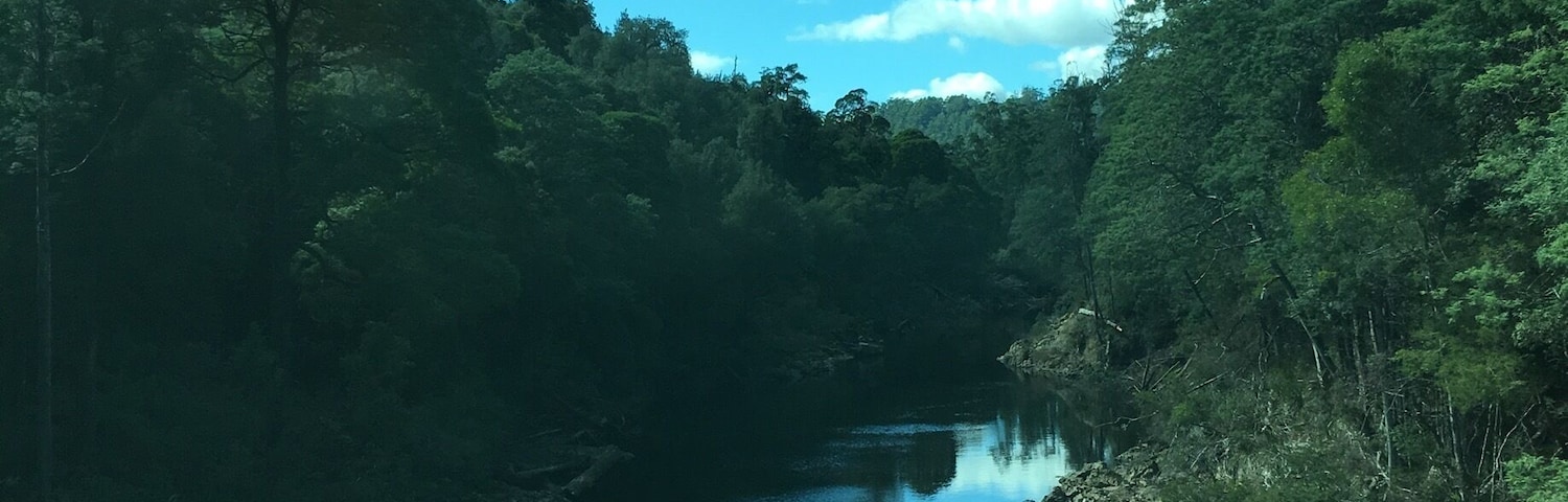 #green #nature
Tasmania is honestly one of the most stunning places to visit.