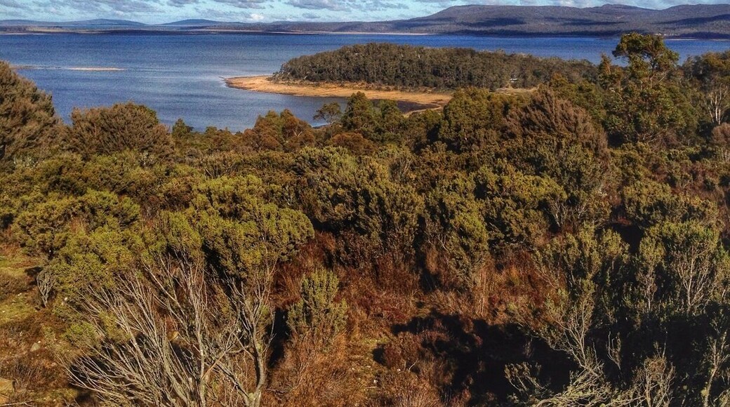 The Great Lake is the second largest freshwater lake in Australia, although it's hard to appreciate its size when you see it.
This is taken at the lookout at the north-west end of the lake.
Driving from Deloraine to Hobart through the Great Lakes is actually quicker than taking the Midlands Hwy - although the Great Lakes route includes dirt roads and can be very slippery in bad weather.