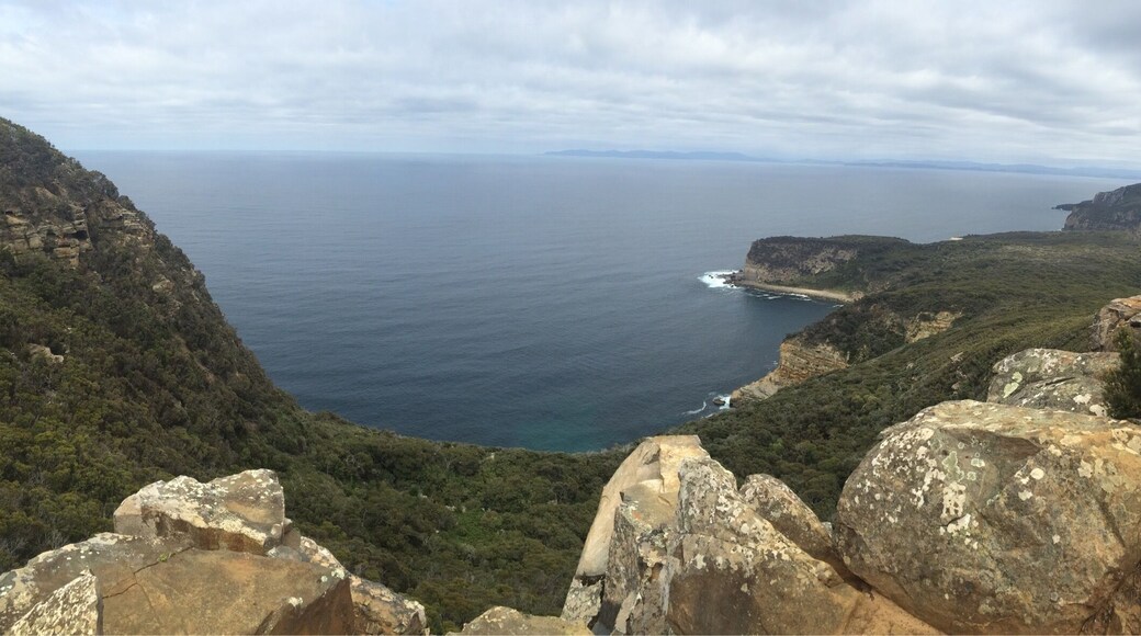 This is a lookout on the walk to shipstern bluff. Incredible lookout and awesome walk altogether that takes you right down to where you see the waves breaking on the far point.
Track can be a little confusing, but some trees are marked with blue tape which helps!