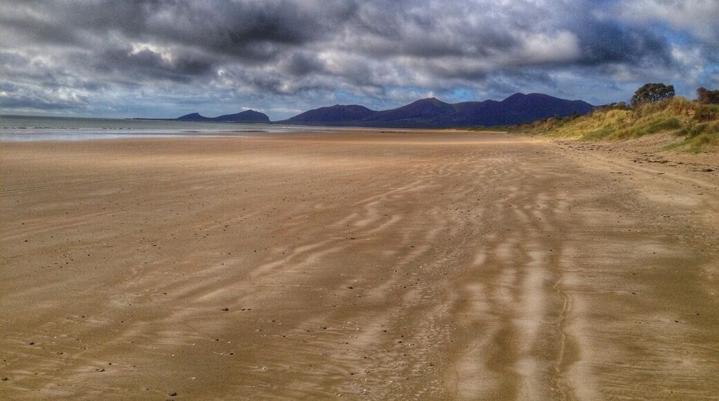 I refused to disclose where this beach was on Instagram or my blog but I'll share the secret here. This is Hellyer Beach - it's hidden from view from the highway. Thousands of people would drive by with no idea what they're missing. To the east you can see the "Sleeping Camel" of Rocky Cape National Park. To the west is the distinctive sight of The Nut at Stanley.
Directions: You take the Hellyer turn off from the highway and park straight away. Don't turn the corner. Just park the car and walk straight ahead, up the little track between the trees and you'll come out on this huge beach. It's rare to see anyone else here.