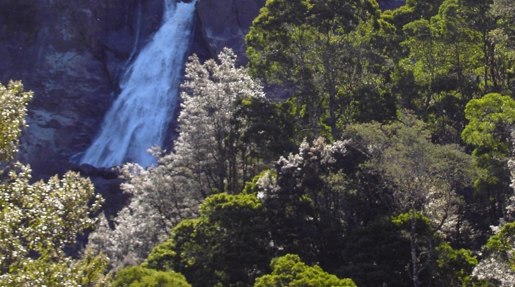Photo taken in 2004 in Tasmania.
St Columba falls Tasmania. Easy access