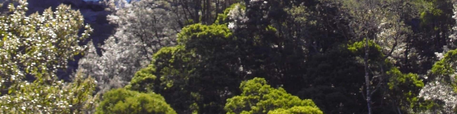 Photo taken in 2004 in Tasmania.
St Columba falls Tasmania. Easy access