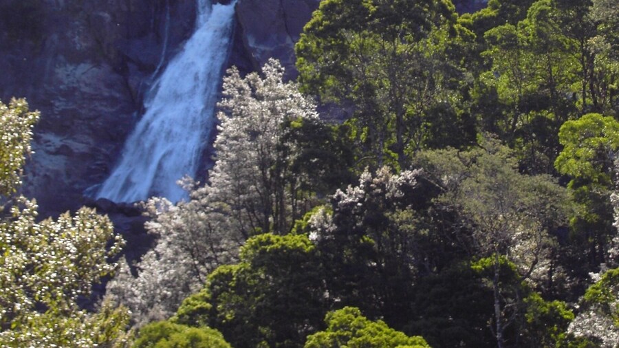 Photo taken in 2004 in Tasmania.
St Columba falls Tasmania. Easy access
