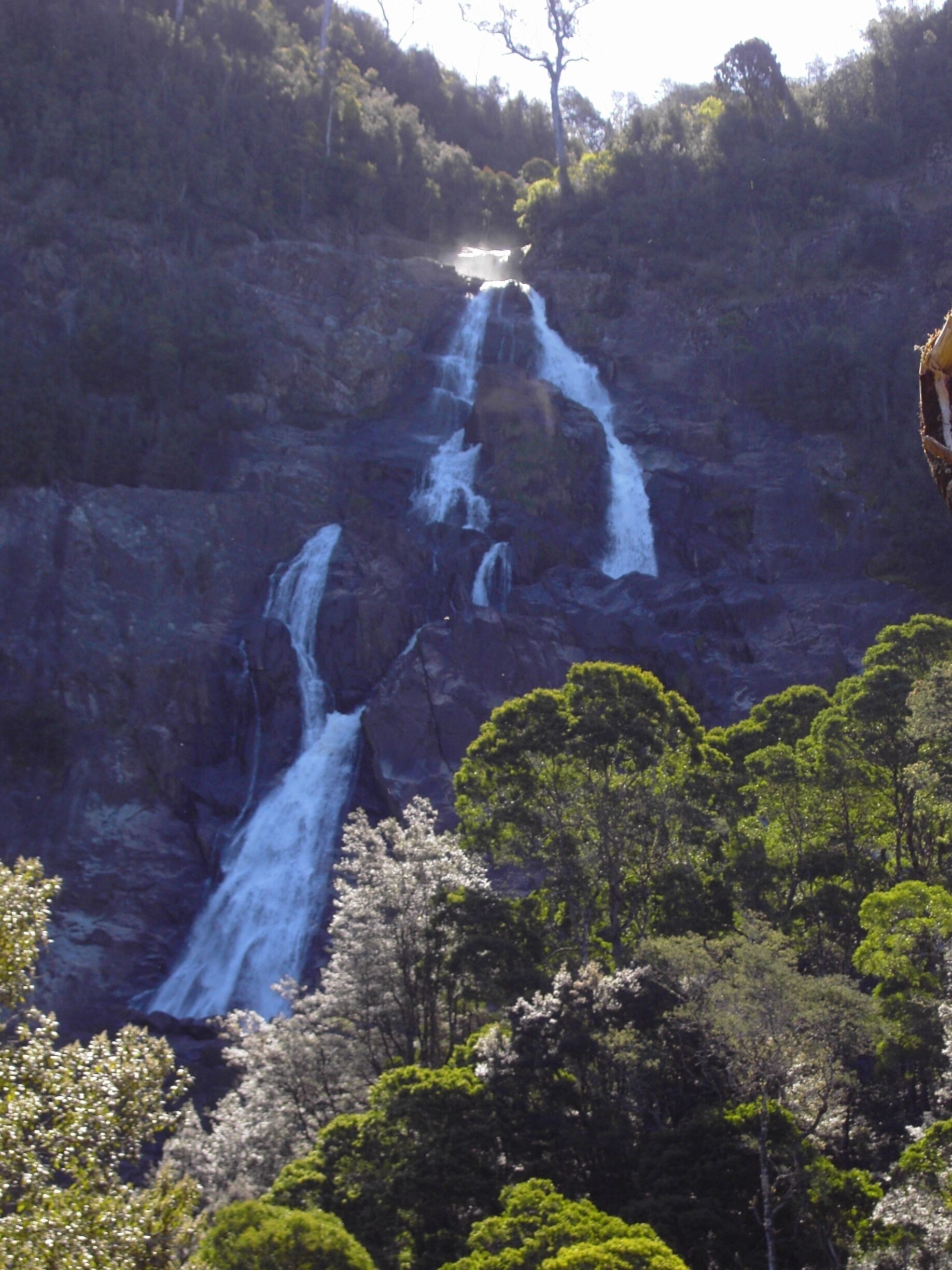 A waterfall cascading down a rocky cliff surrounded by lush greenery.