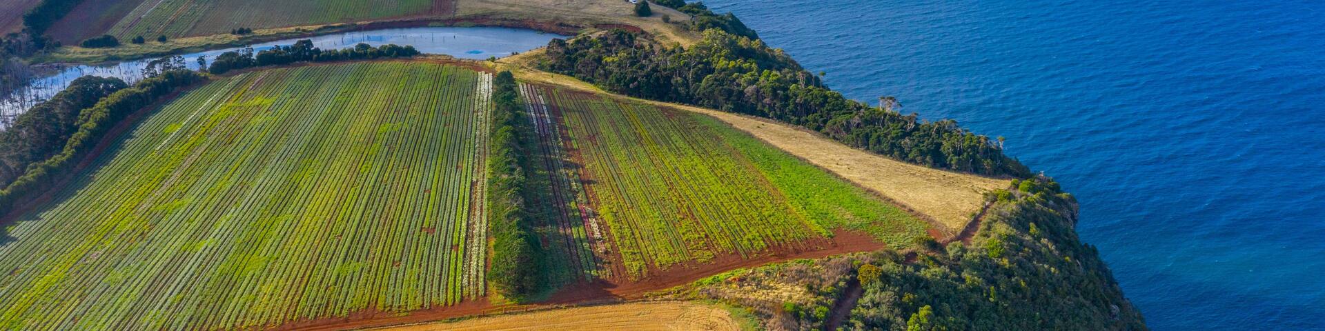 An aerial view of a coastal landscape with fields, a lighthouse, and the ocean.