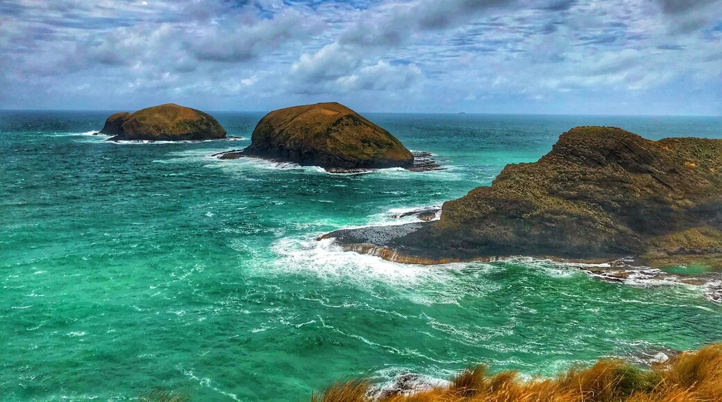 Breathing the worlds purest air. The Cape Grim station is located in the path of the Roaring Forties, which are strong westerly winds that carry pollution-free air thousands of kilometres across the Southern Ocean